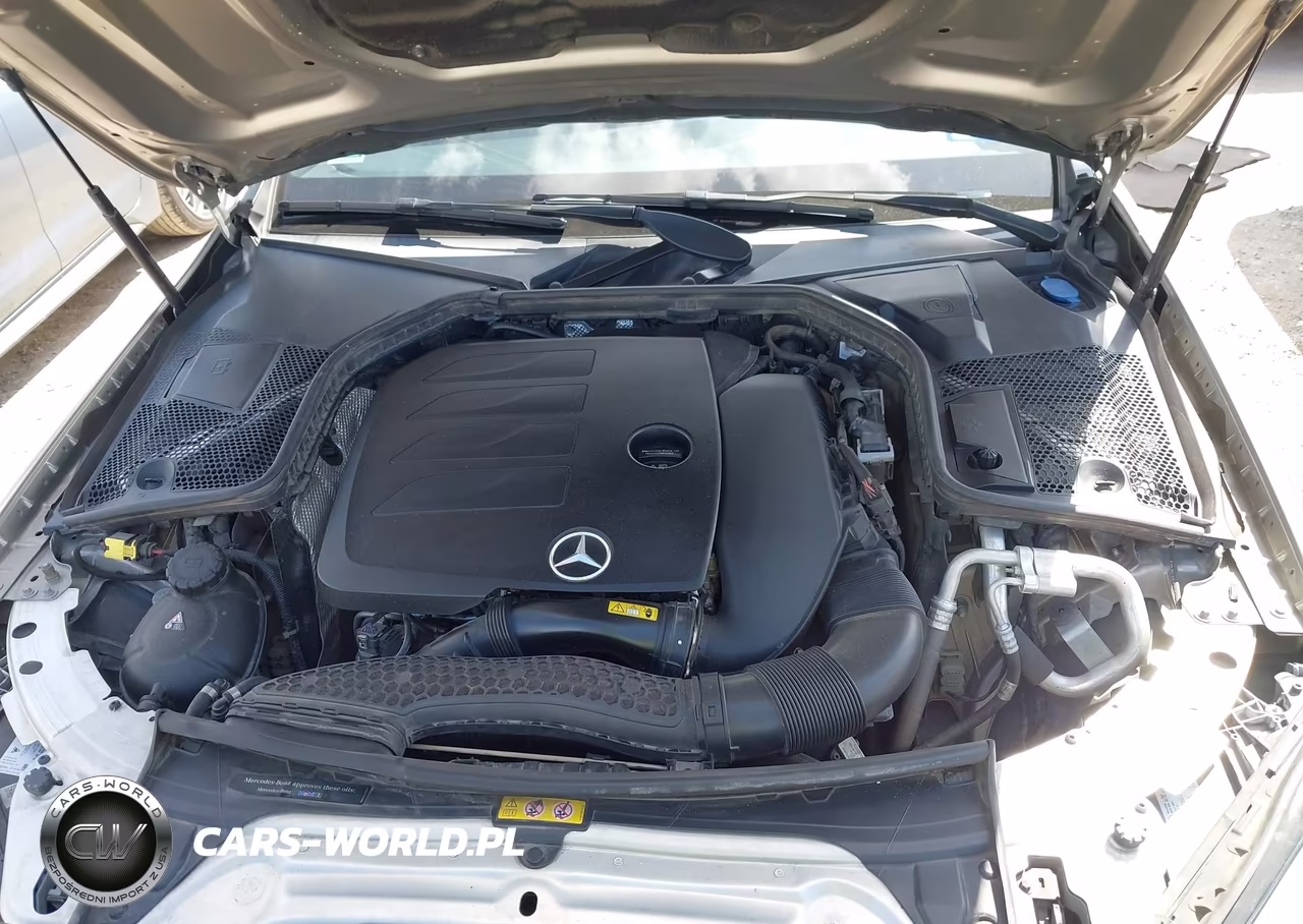 2019 Mercedes-Benz C 300 VIN:55SWF8DB8KU312010 - 10