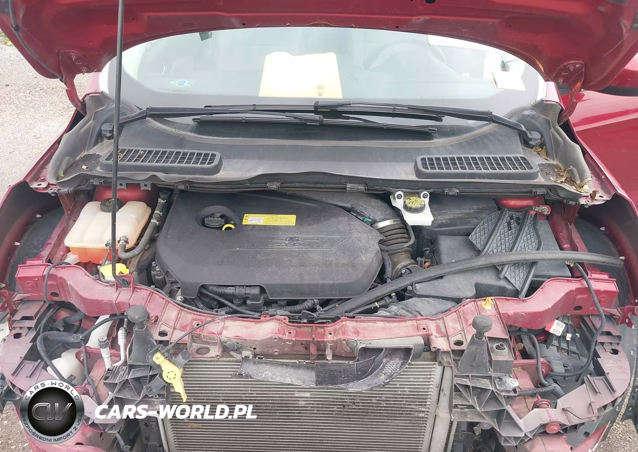 2014 Ford Escape Se VIN:1FMCU0GX0EUC07486 - 10