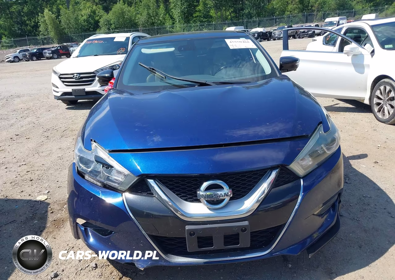 2016 Nissan Maxima 3.5 Platinum VIN:1N4AA6AP1GC390136 - 12
