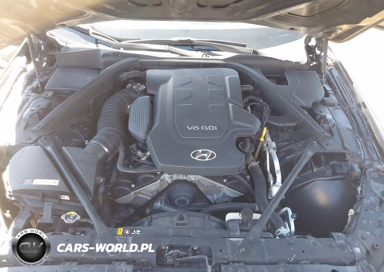 2015 Hyundai Genesis 3.8 VIN:KMHGN4JE0FU076798 - 10