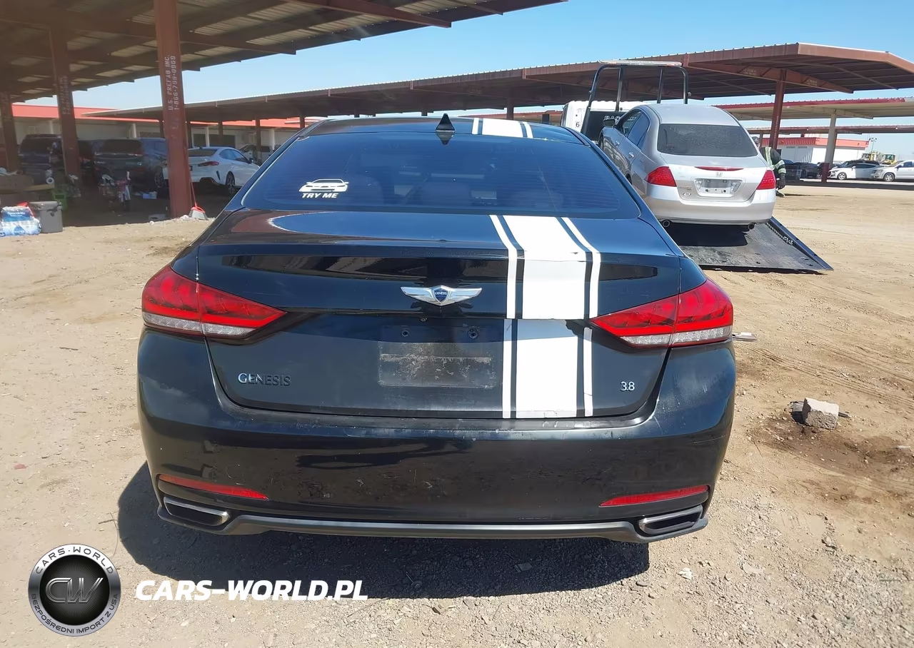 2015 Hyundai Genesis 3.8 VIN:KMHGN4JE0FU076798 - 16