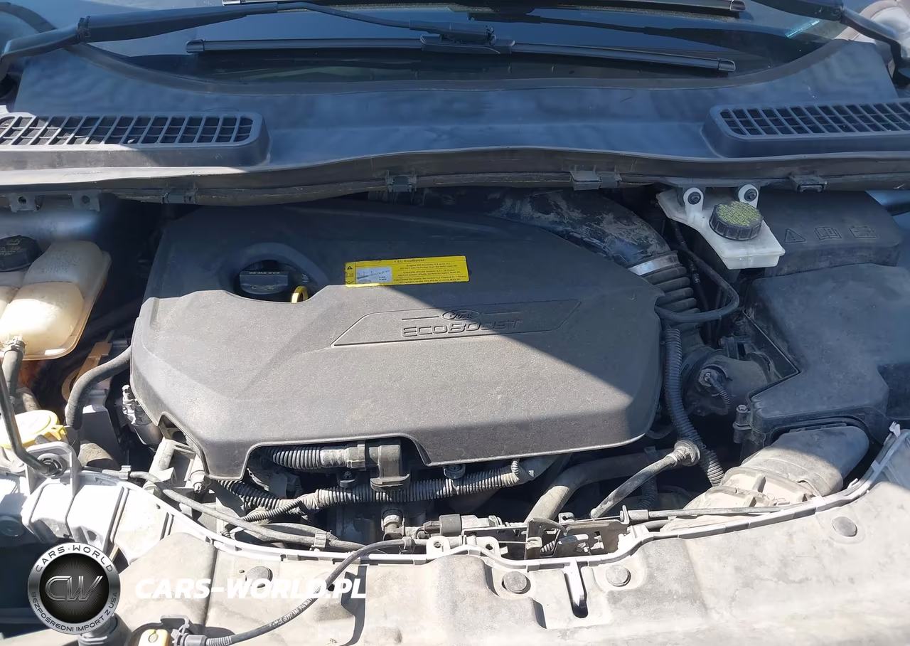 2016 Ford Escape Se VIN:1FMCU0GX4GUB58022 - 10