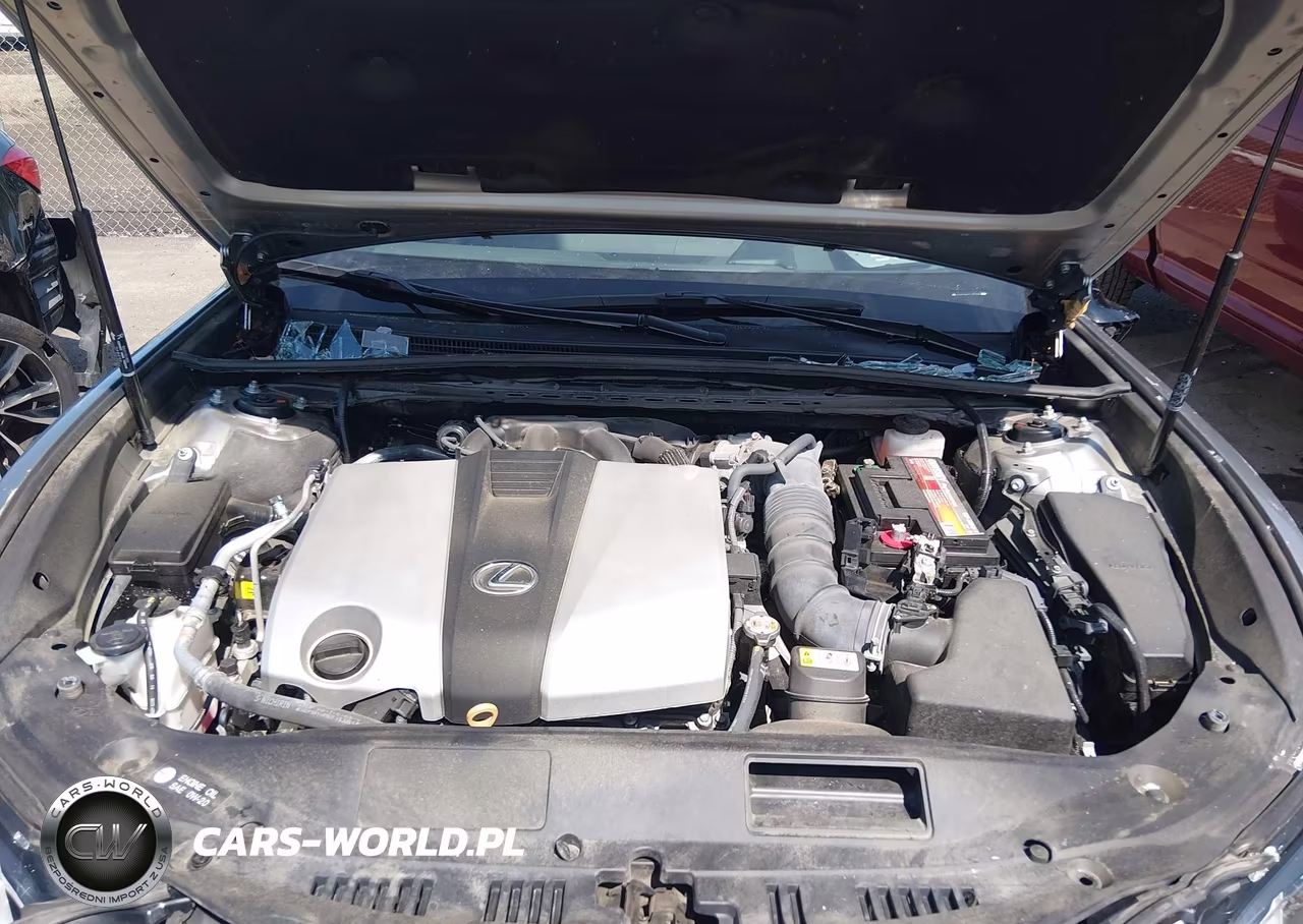 2020 Lexus Es 350 Luxury VIN:58AEZ1B12LU065912 - 10