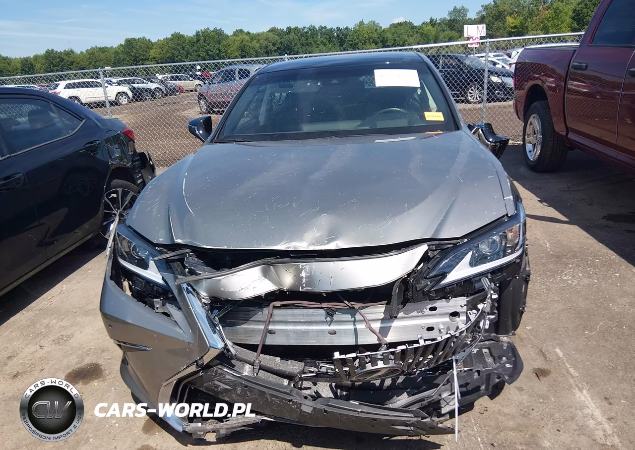 2020 Lexus Es 350 Luxury VIN:58AEZ1B12LU065912 - 12