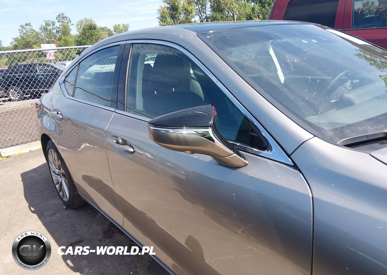 2020 Lexus Es 350 Luxury VIN:58AEZ1B12LU065912 - 13
