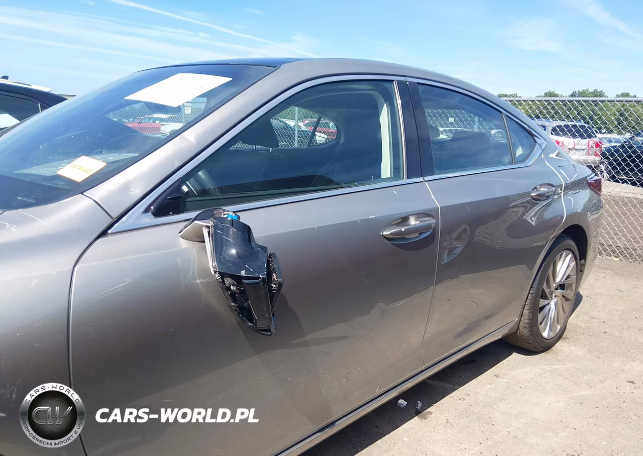 2020 Lexus Es 350 Luxury VIN:58AEZ1B12LU065912 - 14