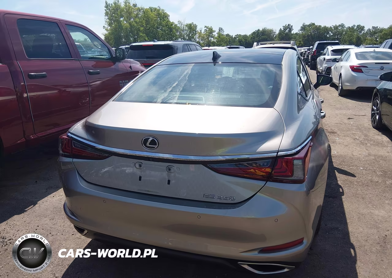 2020 Lexus Es 350 Luxury VIN:58AEZ1B12LU065912 - 16