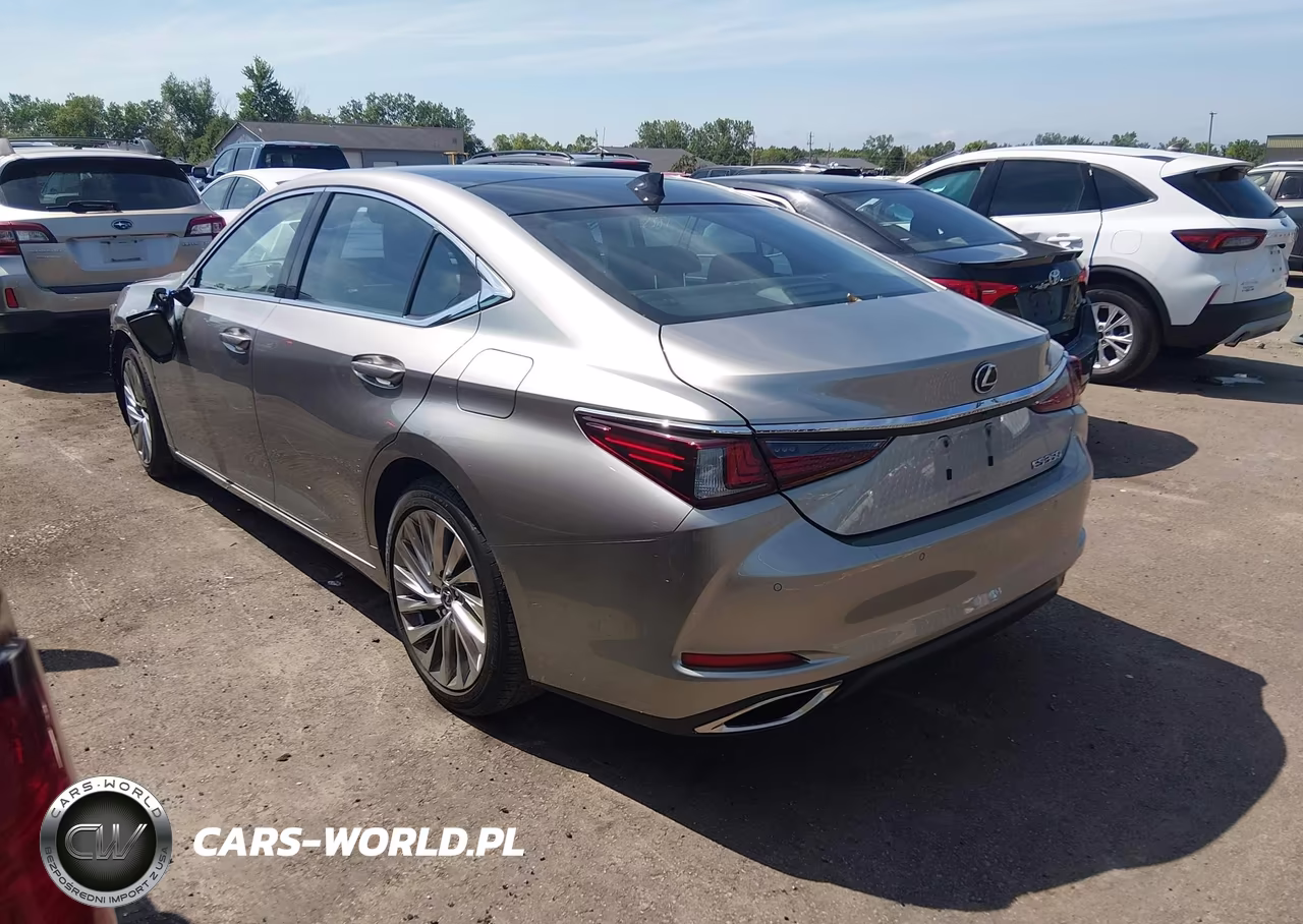 2020 Lexus Es 350 Luxury VIN:58AEZ1B12LU065912 - 3