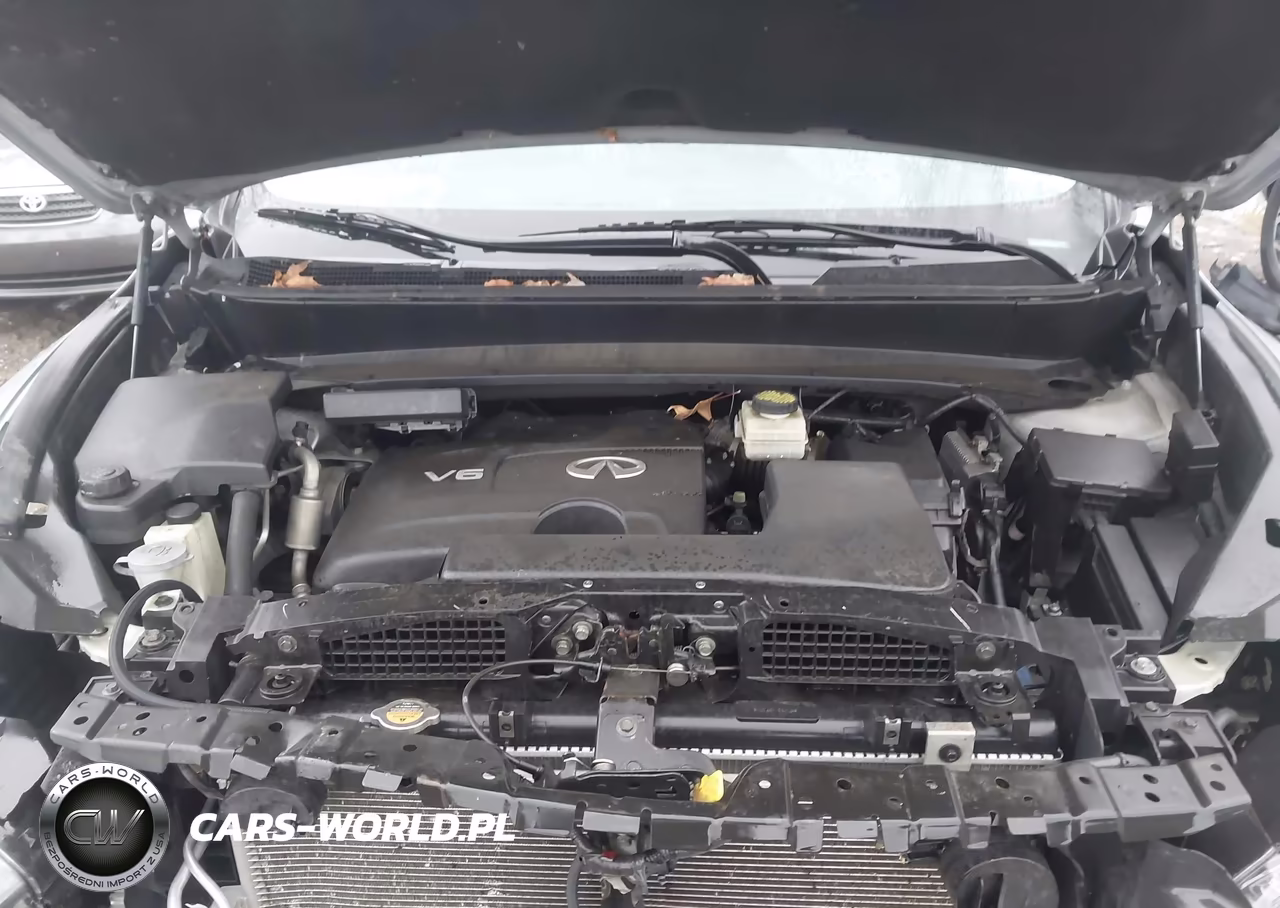 2019 Infiniti Qx60 Pure VIN:5N1DL0MM9KC520443 - 10