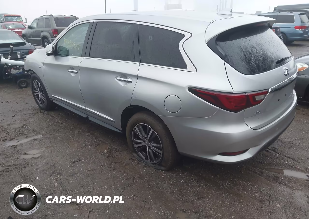 2019 Infiniti Qx60 Pure VIN:5N1DL0MM9KC520443 - 3