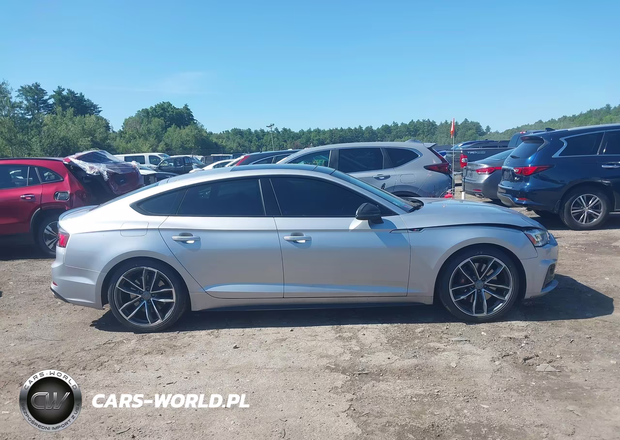 2019 Audi S5 3.0T Premium VIN:WAUC4CF56KA013612 - 13