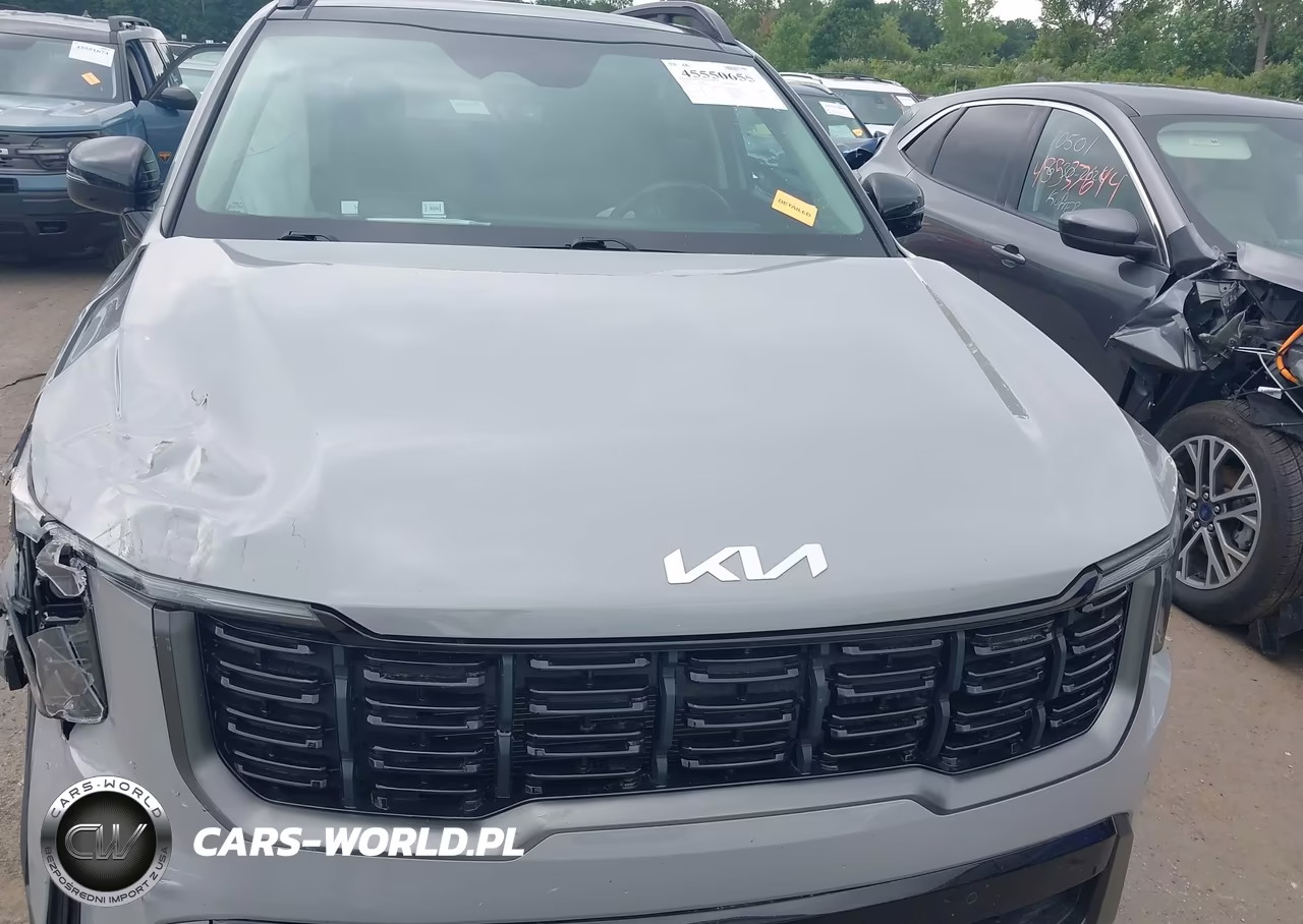 2024 Kia Sorento X-Line Ex VIN:5XYRHDJF7RG267329 - 12