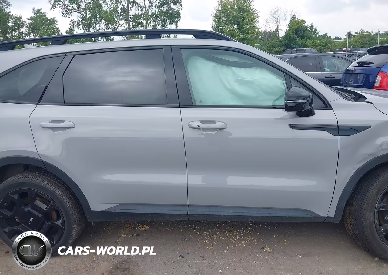 2024 Kia Sorento X-Line Ex VIN:5XYRHDJF7RG267329 - 13