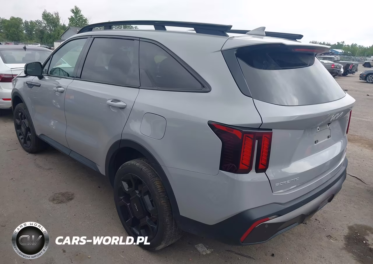 2024 Kia Sorento X-Line Ex VIN:5XYRHDJF7RG267329 - 3