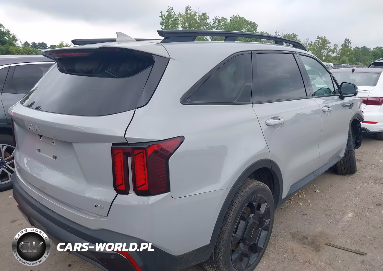 2024 Kia Sorento X-Line Ex VIN:5XYRHDJF7RG267329 - 4