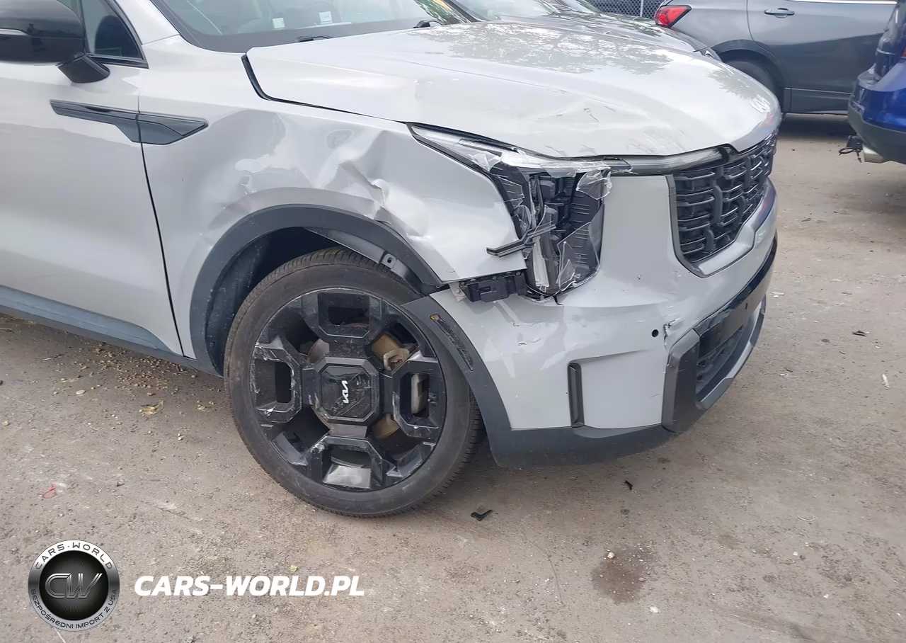 2024 Kia Sorento X-Line Ex VIN:5XYRHDJF7RG267329 - 6