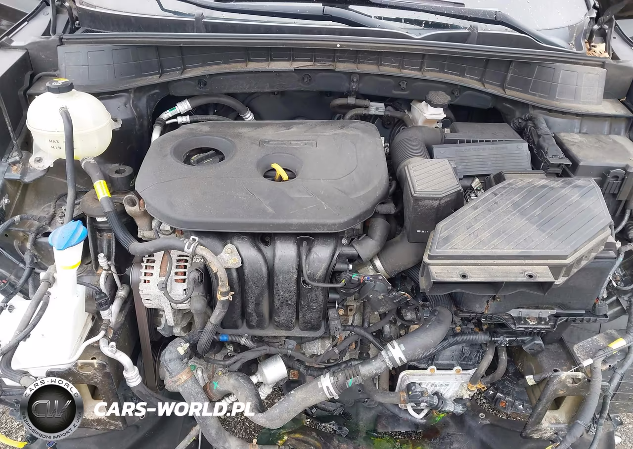 2019 Hyundai Tucson Se VIN:KM8J2CA46KU849087 - 10