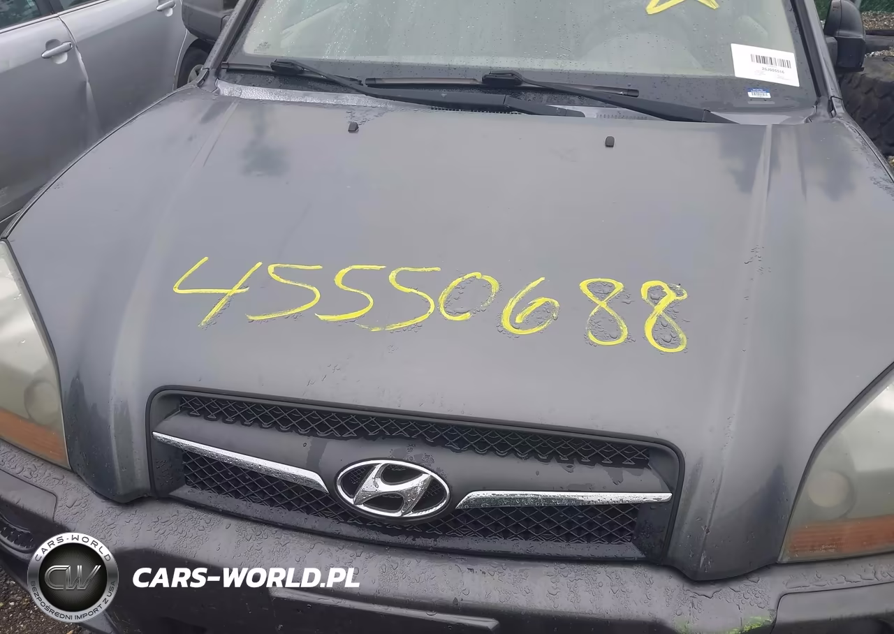 2009 Hyundai Tucson Gls VIN:KM8JM12B69U006495 - 13