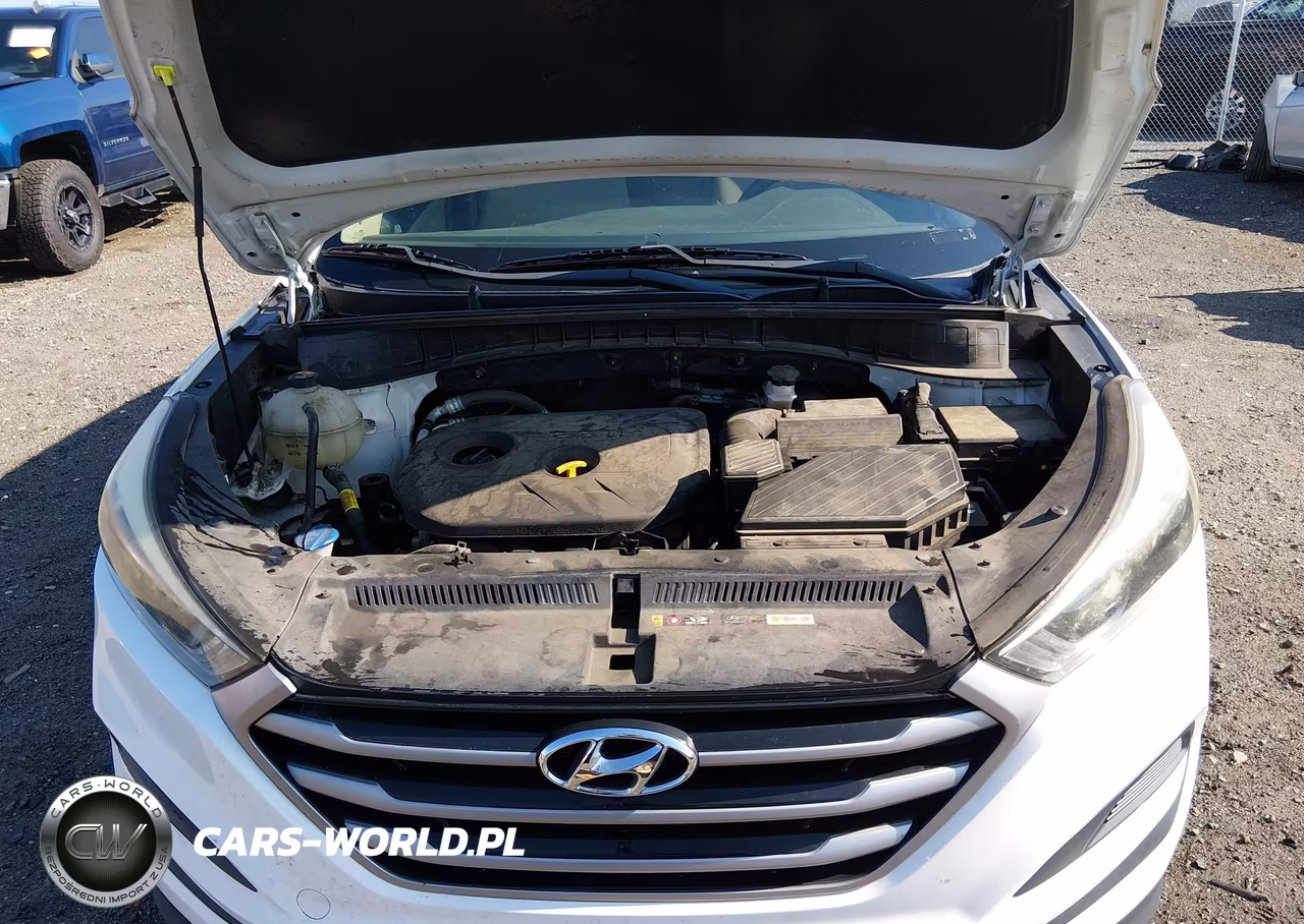 2017 Hyundai Tucson Se VIN:KM8J23A49HU569267 - 10