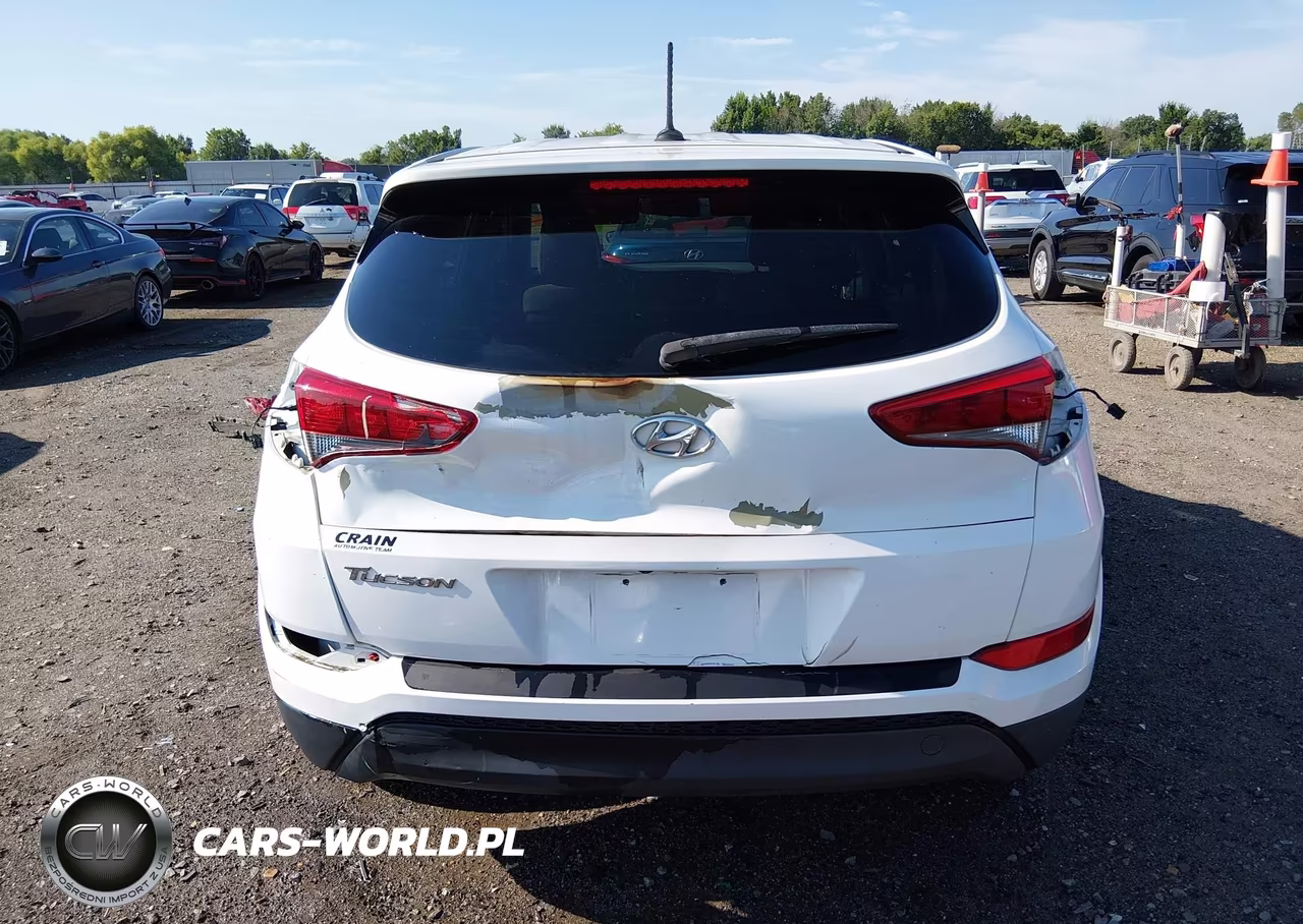 2017 Hyundai Tucson Se VIN:KM8J23A49HU569267 - 17