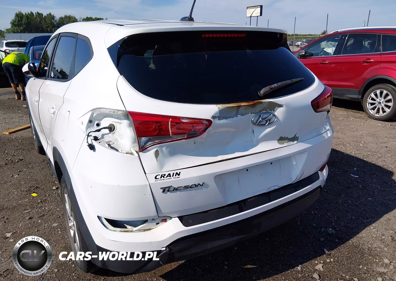 2017 Hyundai Tucson Se VIN:KM8J23A49HU569267 - 6