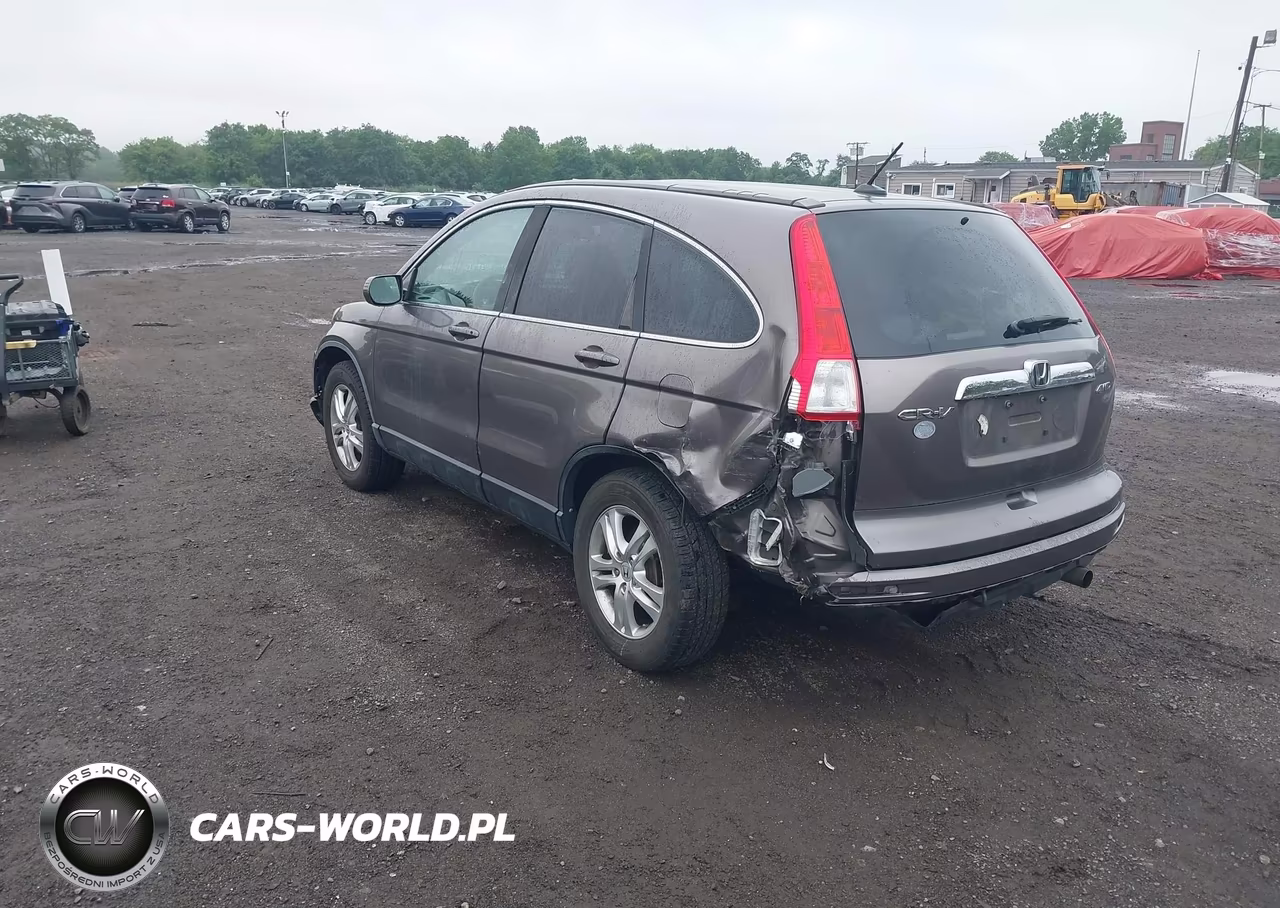 2010 Honda Cr-V Ex-L VIN:5J6RE4H77AL089593 - 3