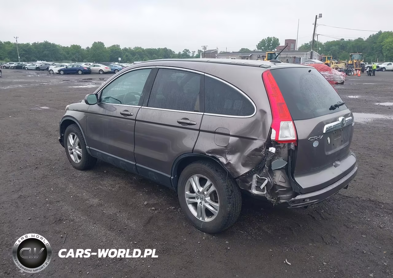 2010 Honda Cr-V Ex-L VIN:5J6RE4H77AL089593 - 6