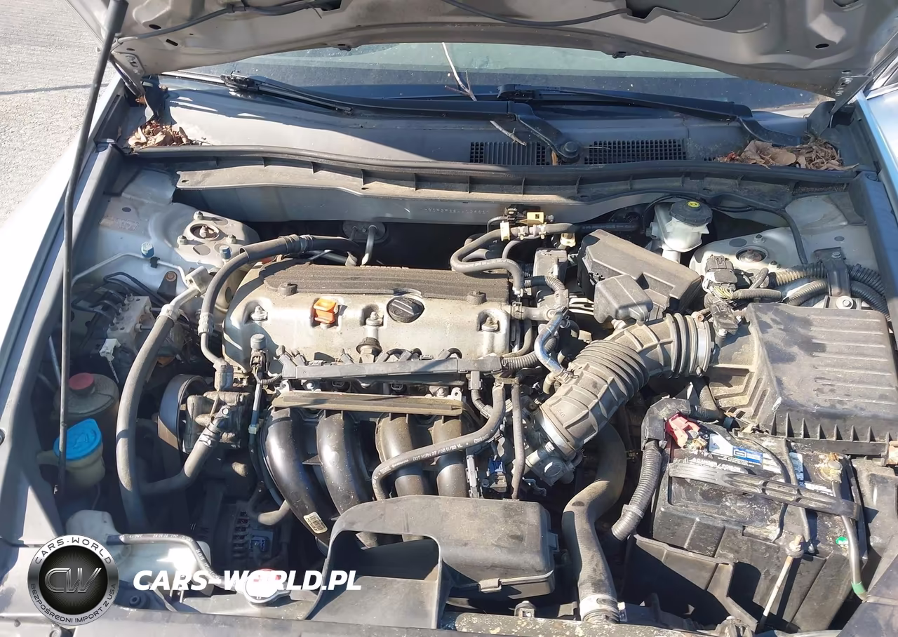 2010 Honda Accord 2.4 Lx VIN:1HGCP2F38AA029667 - 10