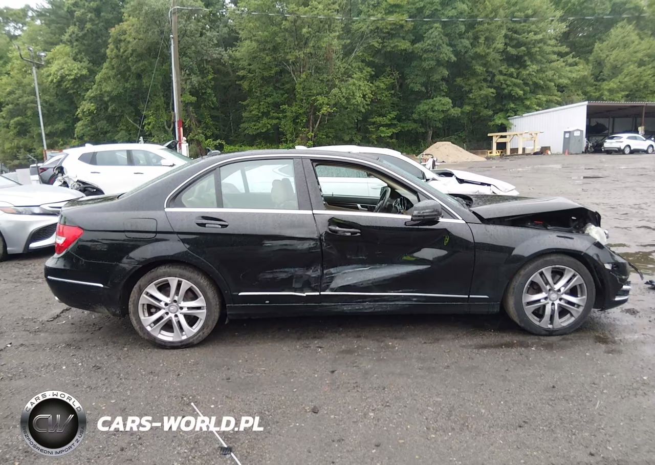 2014 Mercedes-Benz C 300 Luxury 4Matic VIN:WDDGF8AB9EG225520 - 13