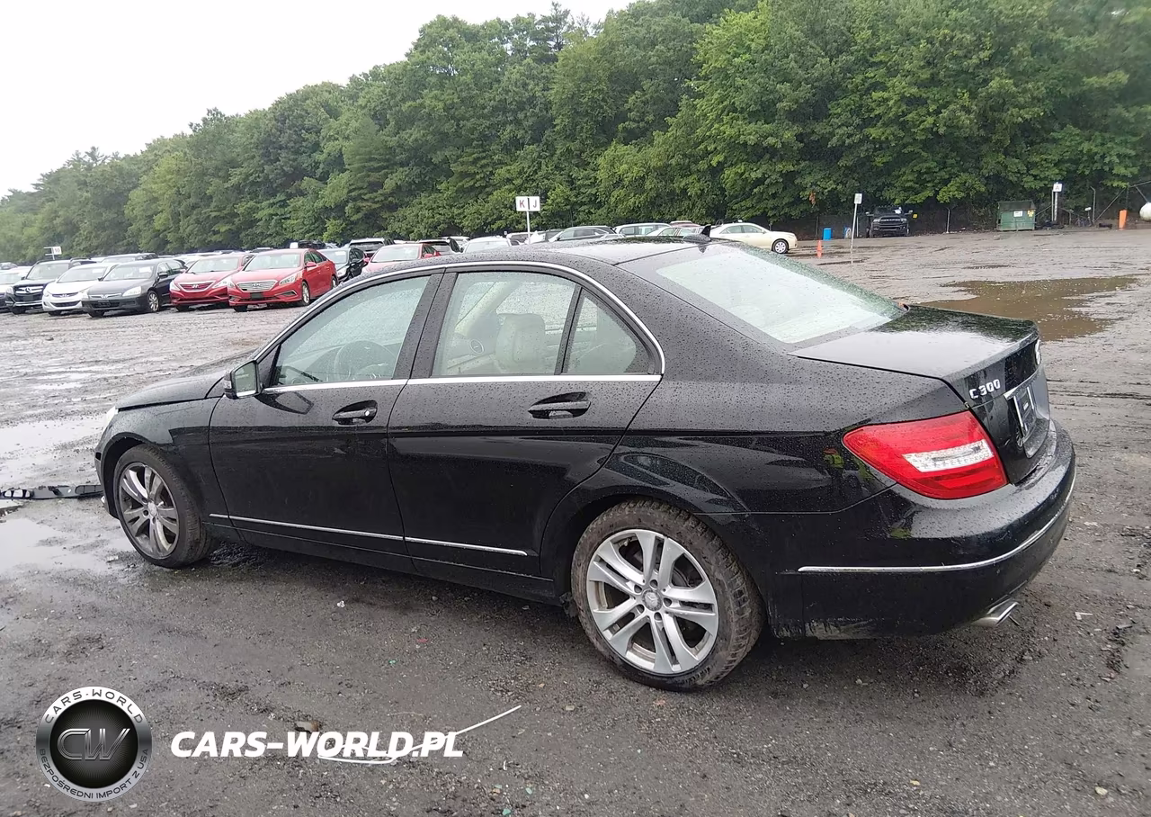 2014 Mercedes-Benz C 300 Luxury 4Matic VIN:WDDGF8AB9EG225520 - 14