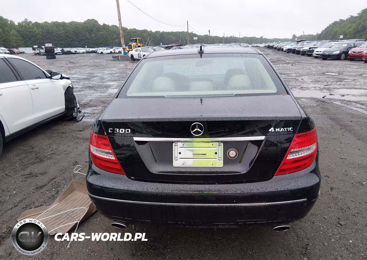 2014 Mercedes-Benz C 300 Luxury 4Matic VIN:WDDGF8AB9EG225520 - 16