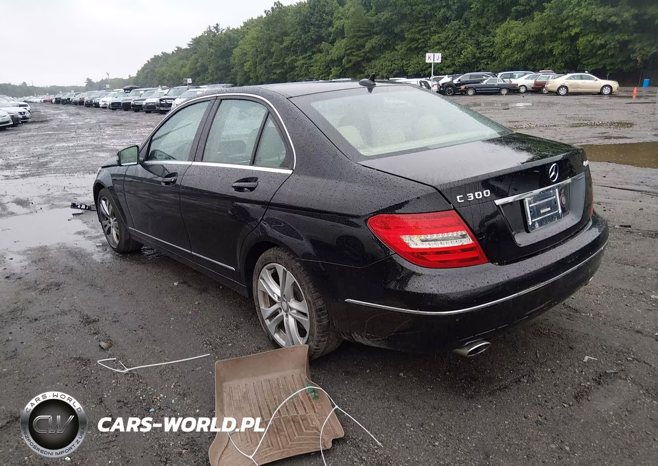 2014 Mercedes-Benz C 300 Luxury 4Matic VIN:WDDGF8AB9EG225520 - 3