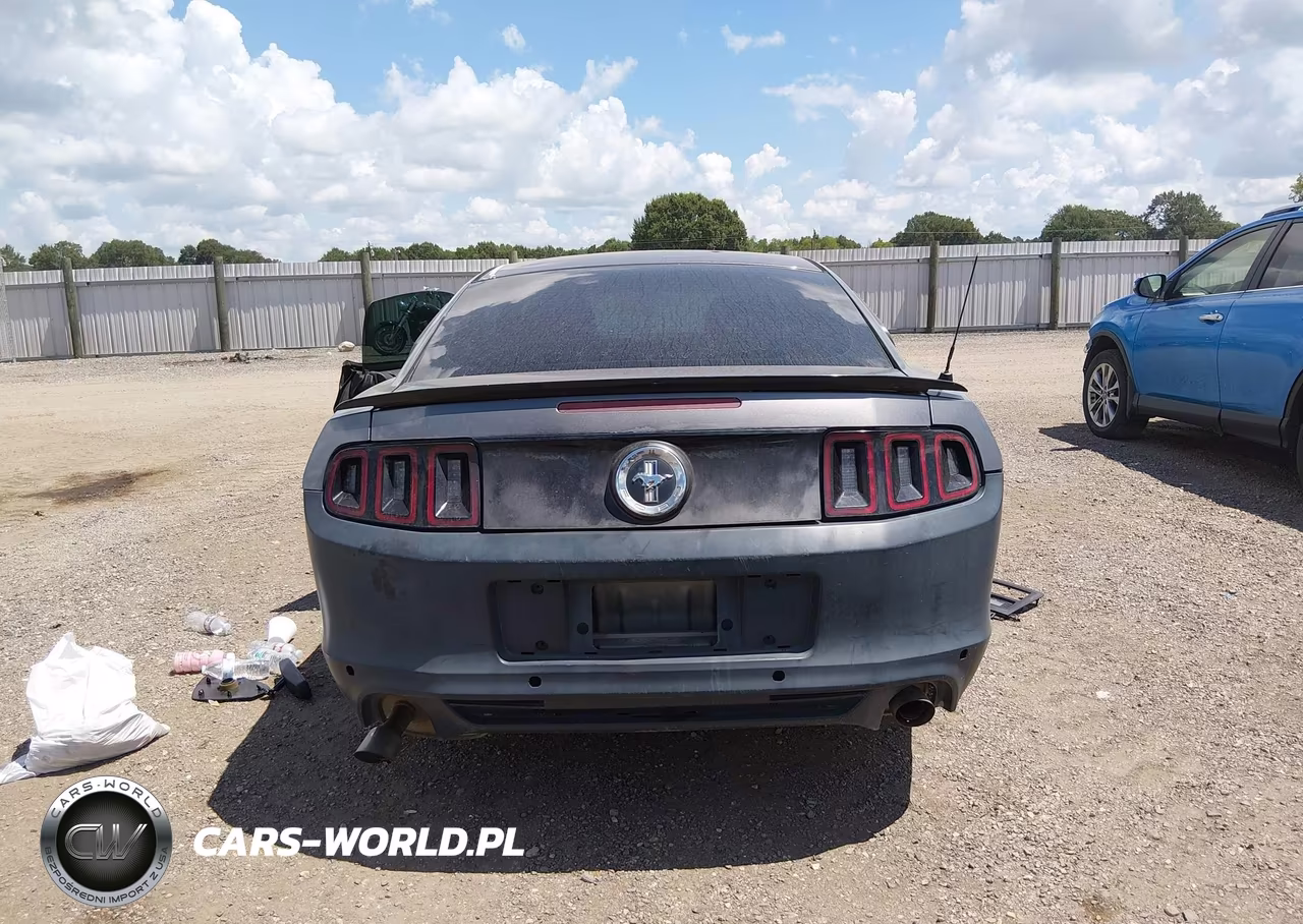 2014 Ford Mustang V6-V6 Premium VIN:1ZVBP8AM8E5288345 - 17
