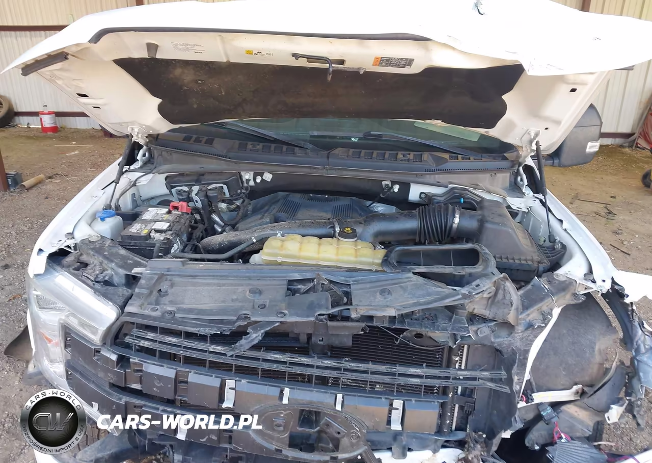 2020 Ford F-150 VIN:1FTFW1E4XLKD62212 - 10