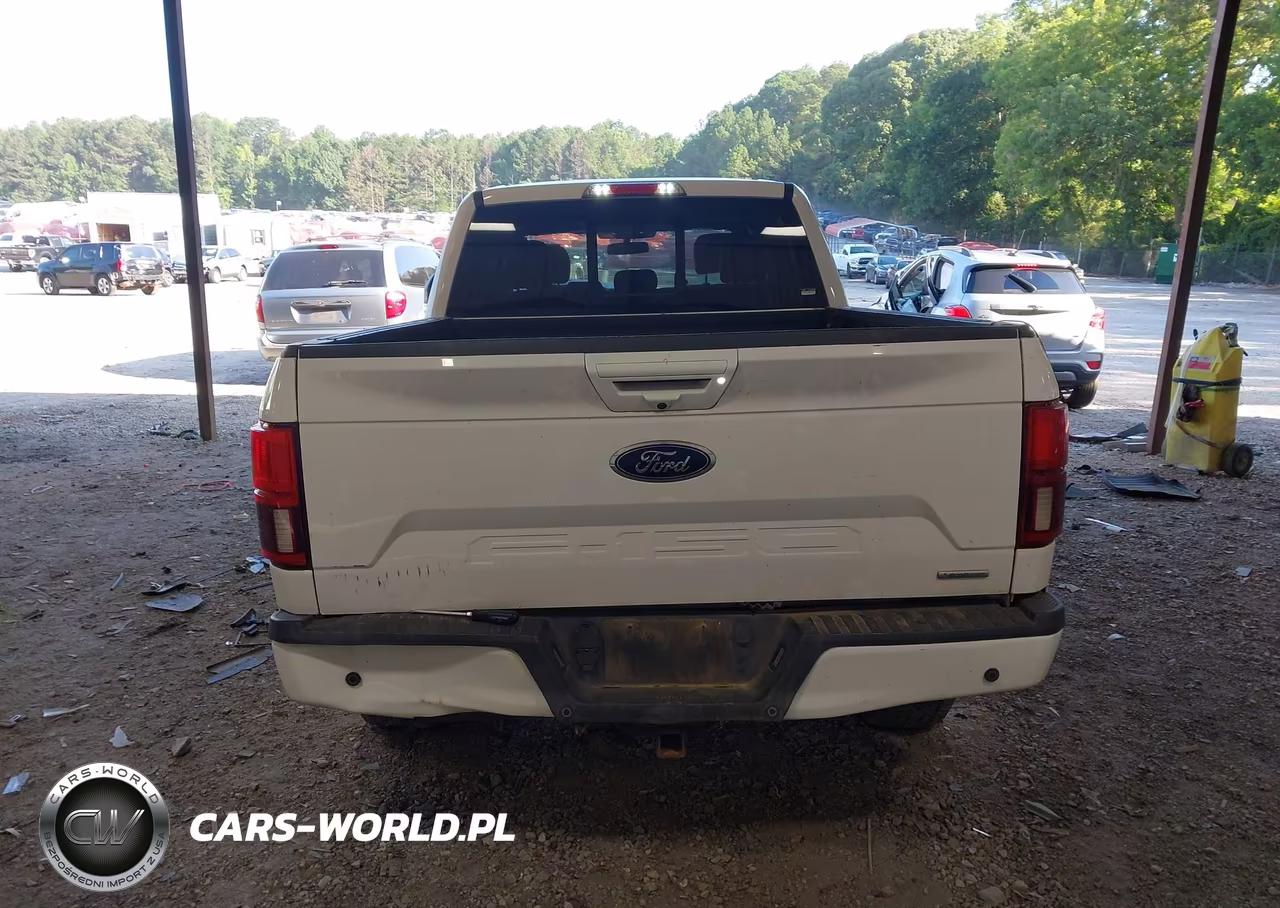 2020 Ford F-150 VIN:1FTFW1E4XLKD62212 - 16