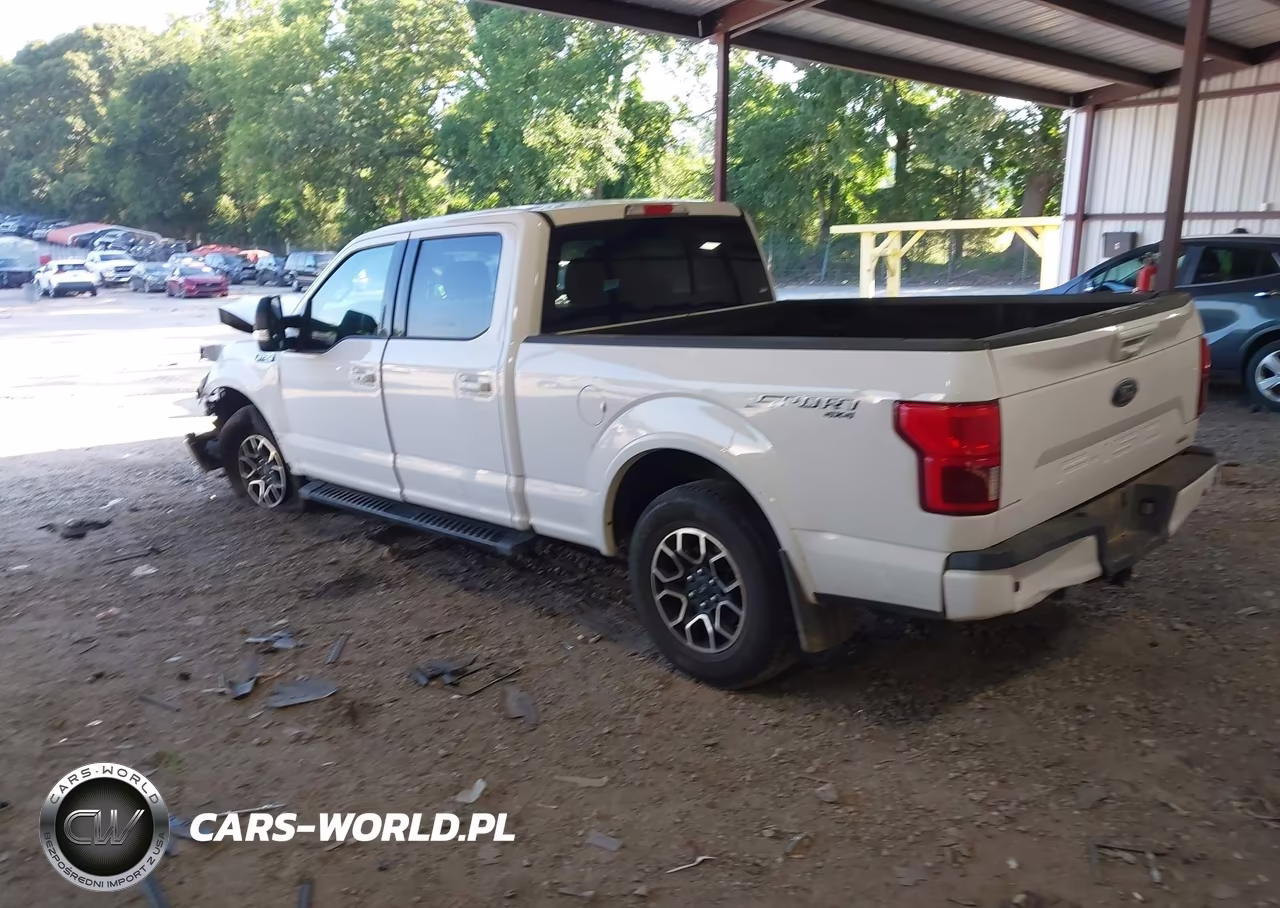 2020 Ford F-150 VIN:1FTFW1E4XLKD62212 - 3