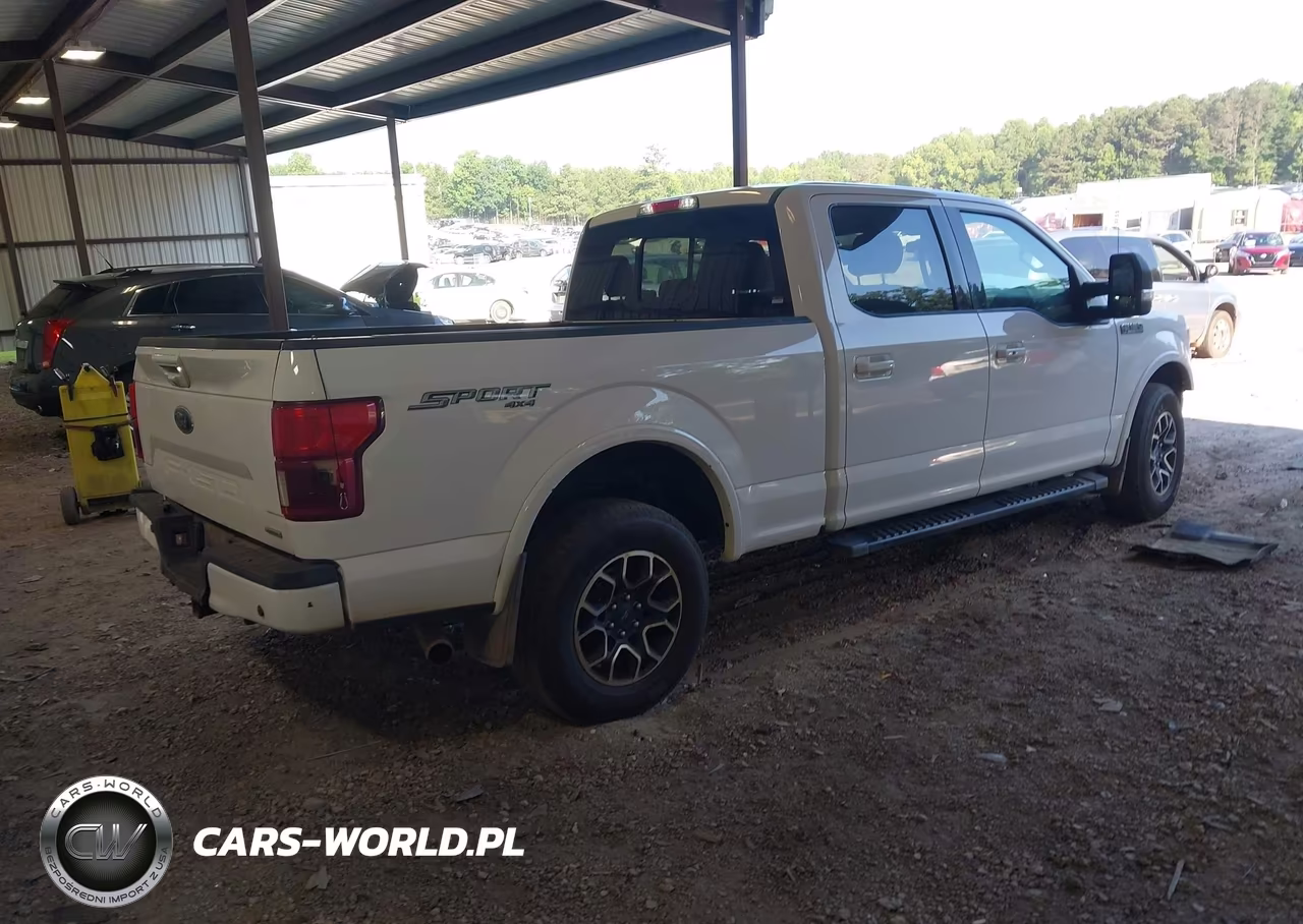 2020 Ford F-150 VIN:1FTFW1E4XLKD62212 - 4