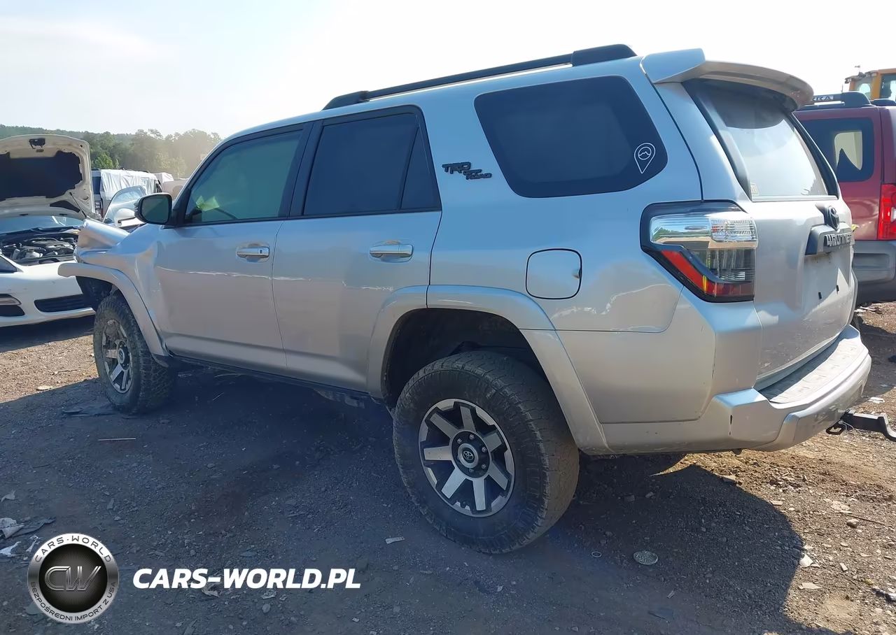 2019 Toyota 4Runner Trd Off Road Premium VIN:JTEBU5JR2K5698863 - 3