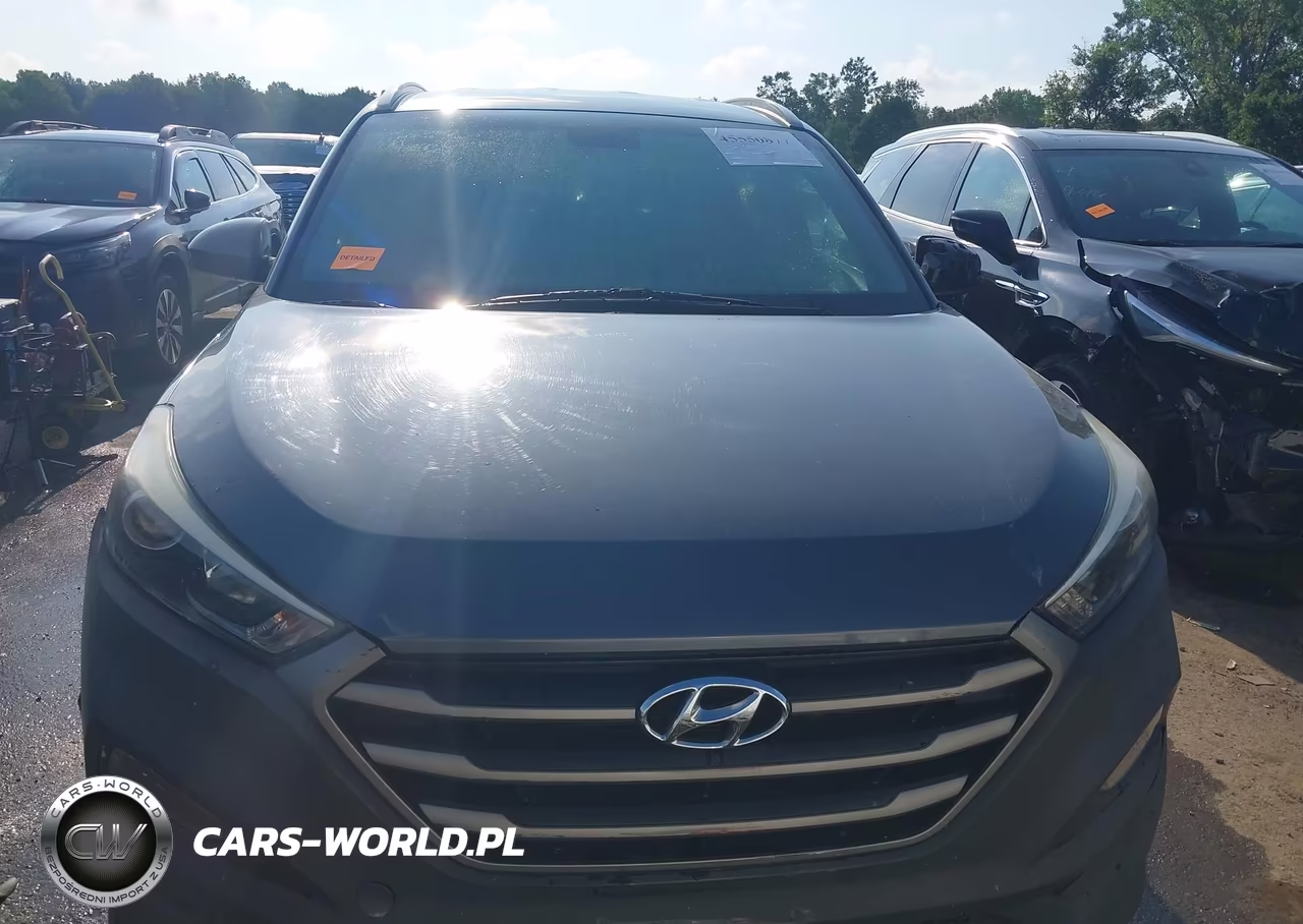 2016 Hyundai Tucson Se VIN:KM8J3CA47GU059446 - 12