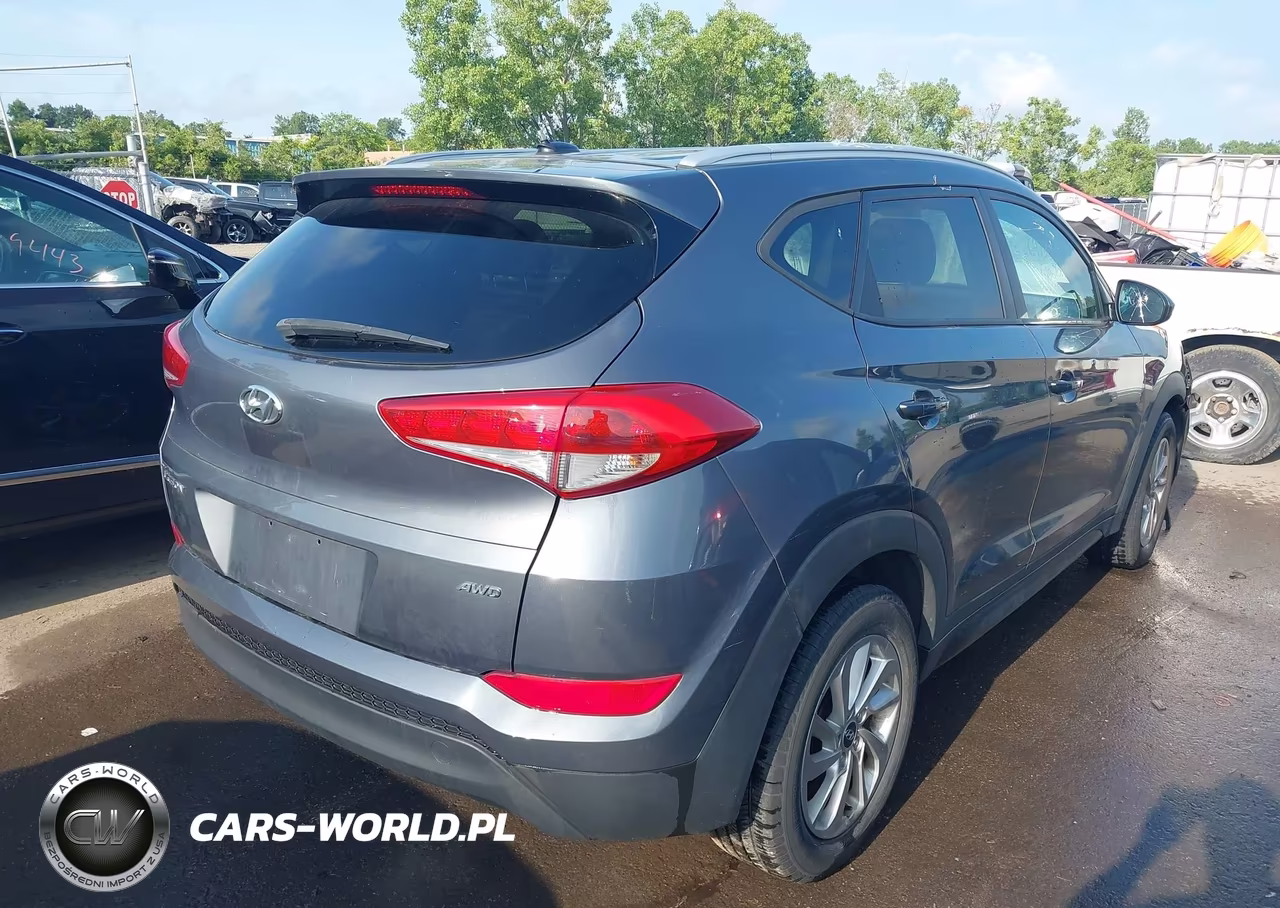 2016 Hyundai Tucson Se VIN:KM8J3CA47GU059446 - 4