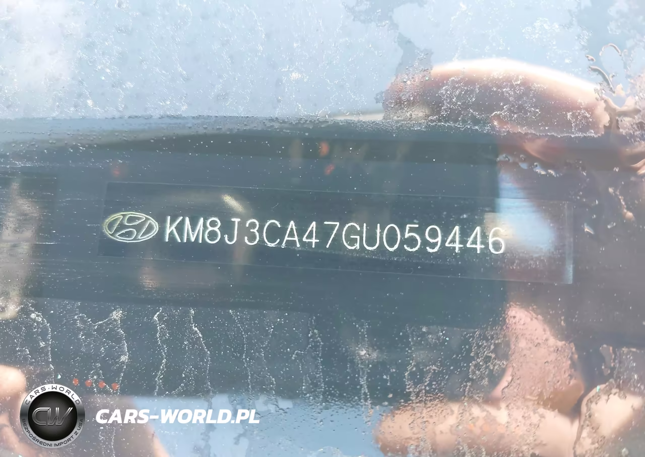 2016 Hyundai Tucson Se VIN:KM8J3CA47GU059446 - 9