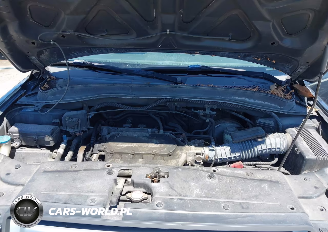 2006 Honda Pilot Lx VIN:5FNYF28126B027785 - 10