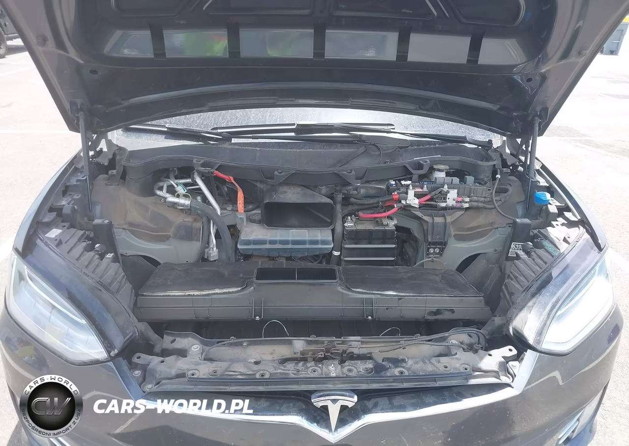2016 Tesla Model X 60D-70D-75D-90D-P100D VIN:5YJXCBE27GF015392 - 10