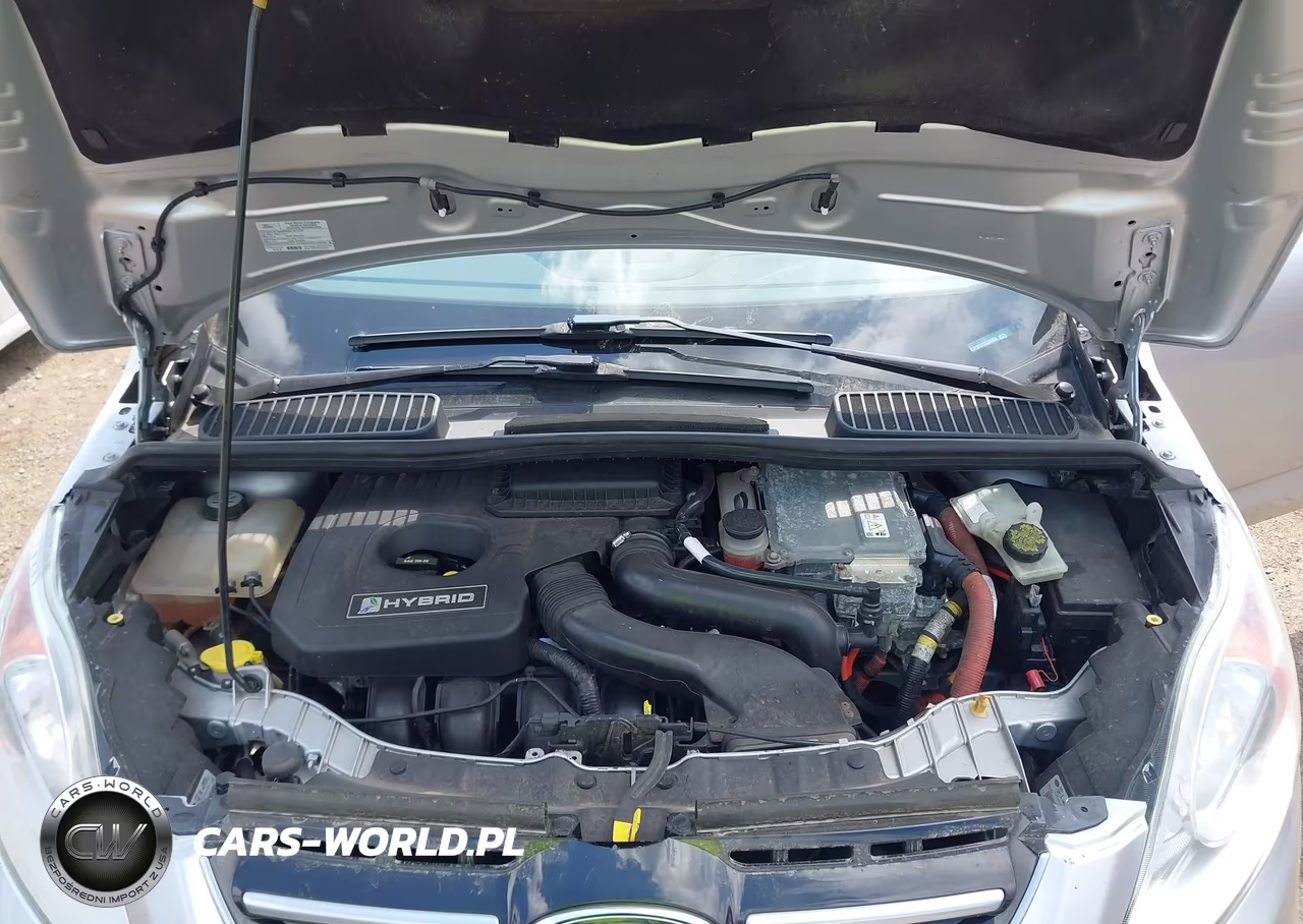 2013 Ford C-Max Hybrid Sel VIN:1FADP5BU2DL535805 - 10