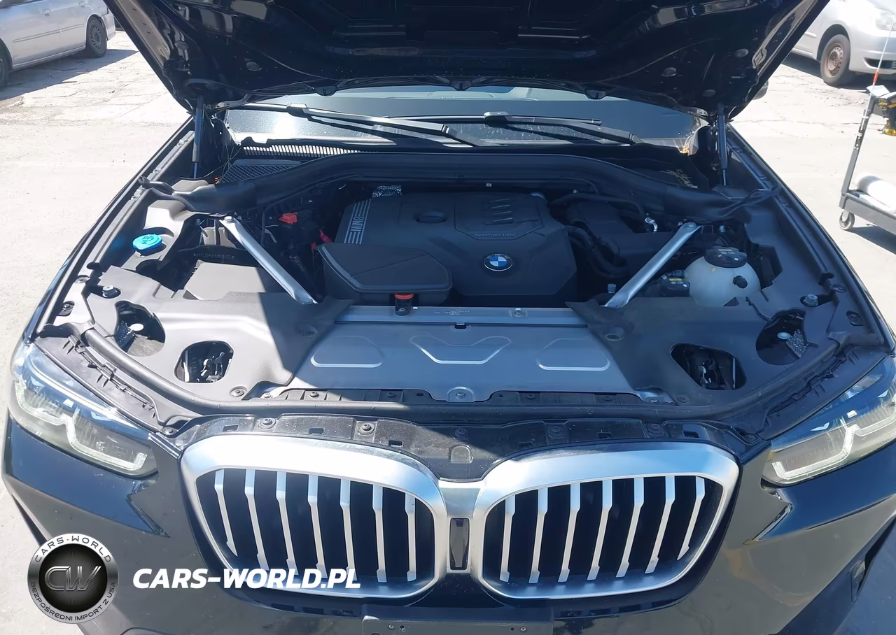 2022 BMW X3 xDrive30I VIN:5UX53DP03N9M15325 - 10