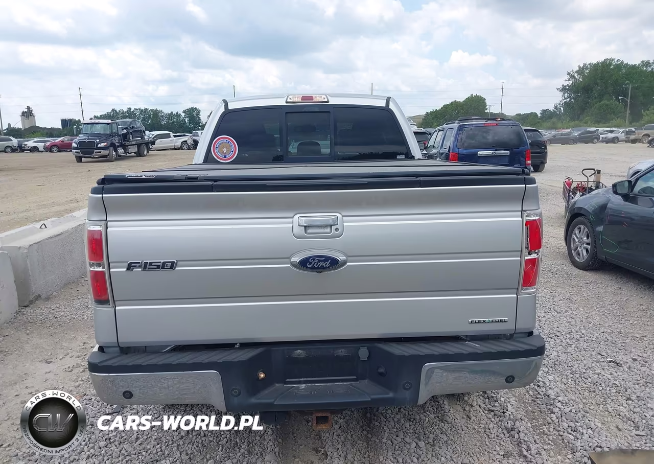 2014 Ford F-150 Fx4-King Ranch-Lariat-Platinum-Stx-Xl-Xlt VIN:1FTFW1EFXEFA53997 - 16