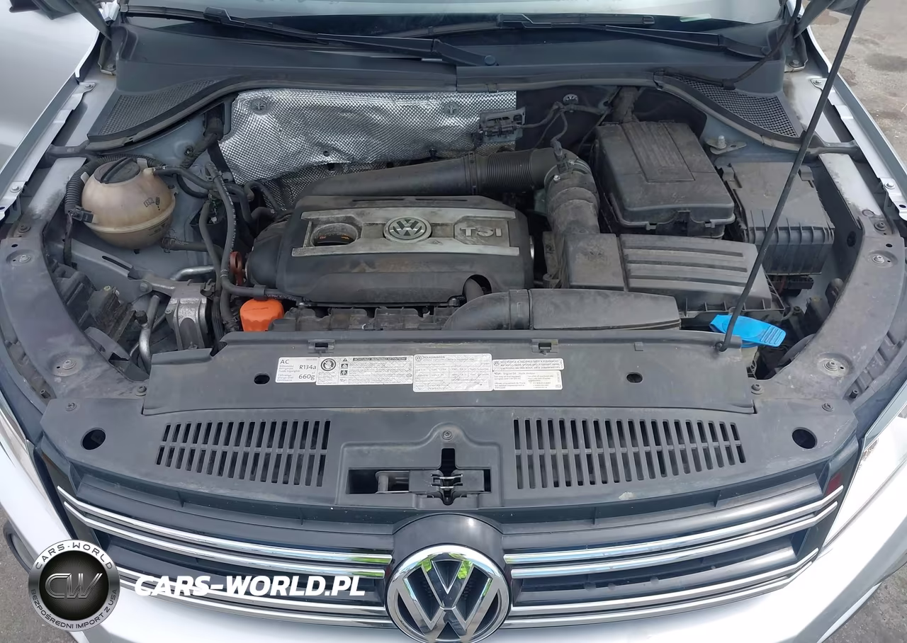 2013 Volkswagen Tiguan Se VIN:WVGBV7AX2DW509732 - 10