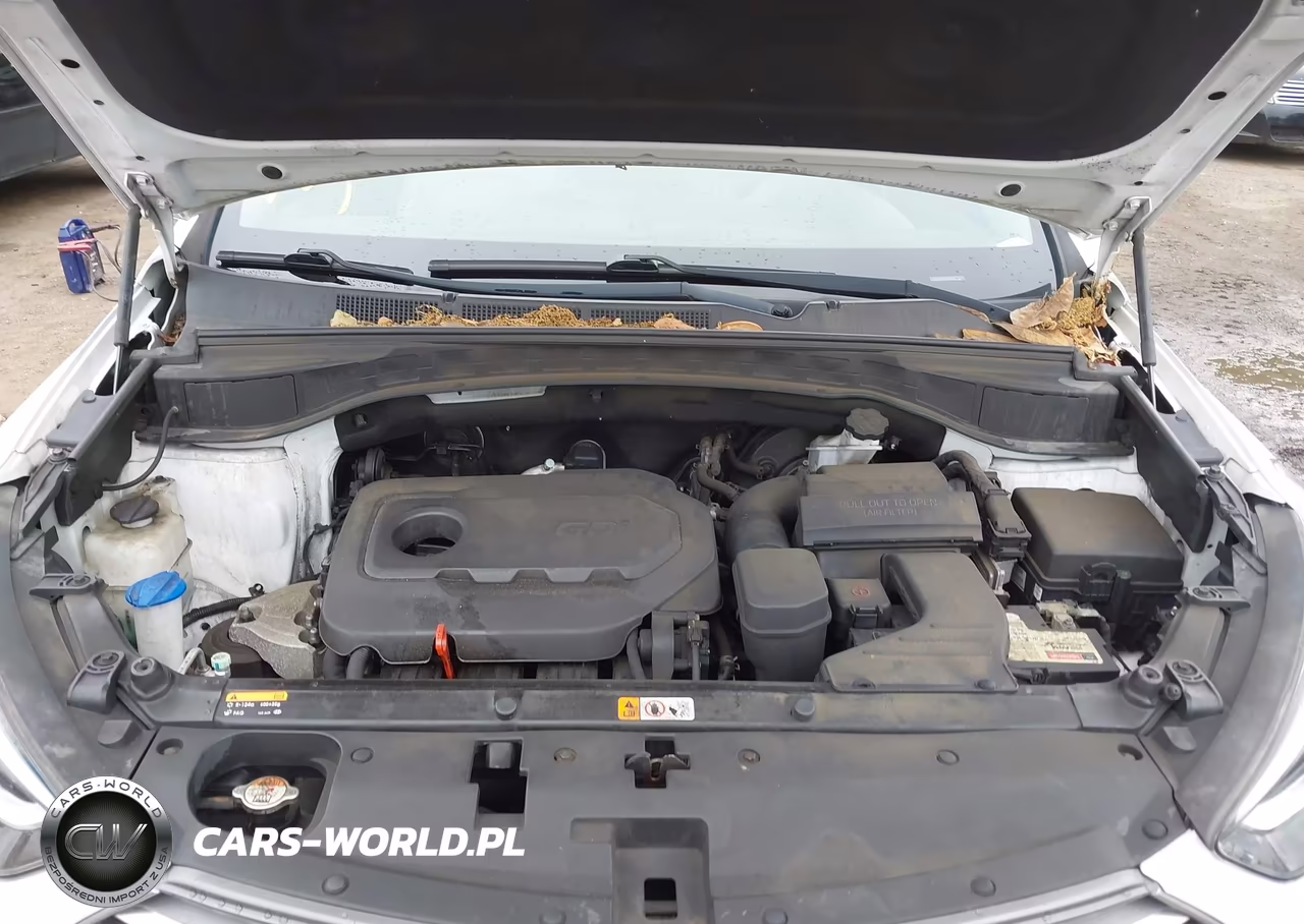 2017 Hyundai Santa Fe Sport 2.4L VIN:5XYZUDLB6HG465856 - 10