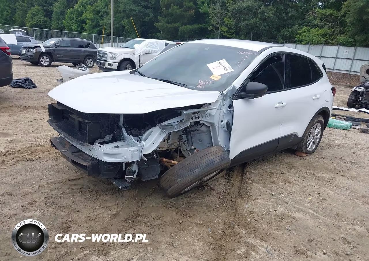 2024 Ford Escape Active VIN:1FMCU9GN8RUB55307 - 2