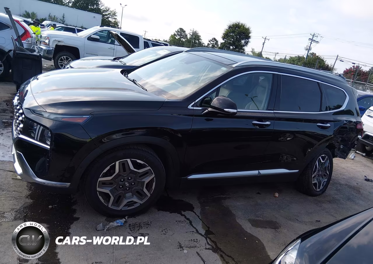 2021 Hyundai Santa Fe Limited VIN:5NMS44AL3MH309562 - 14